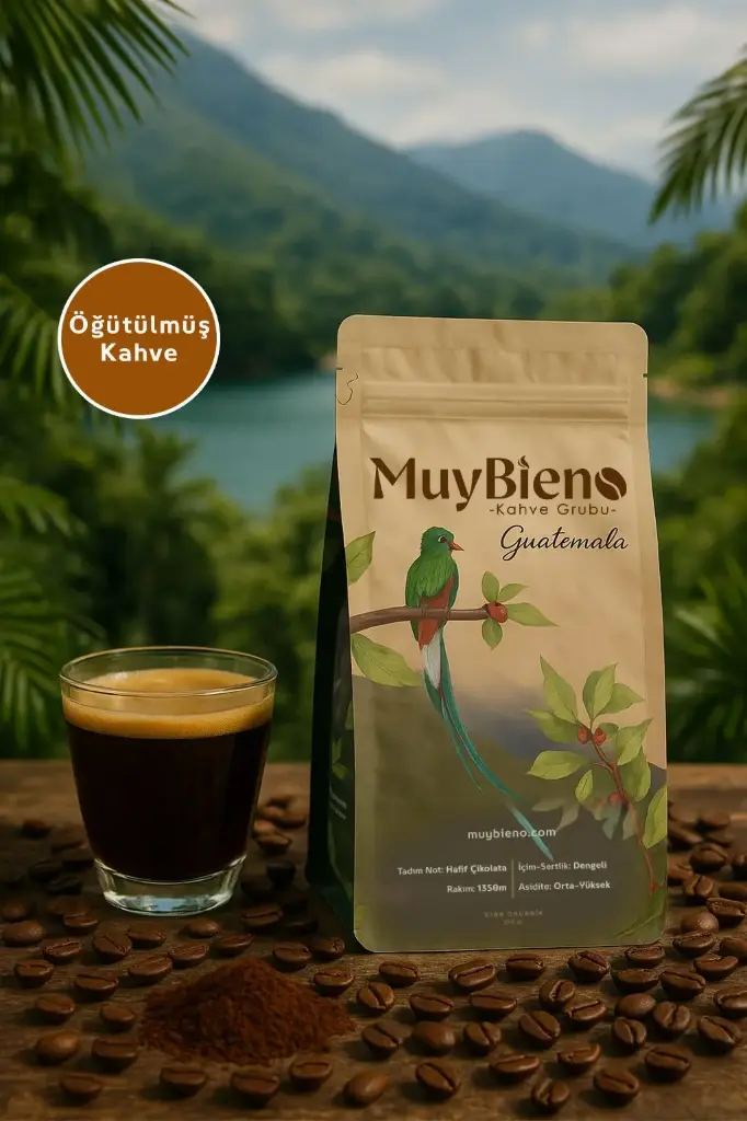 Guatemala Huehuetenango 250 gr. Öğütülmüş Kahve