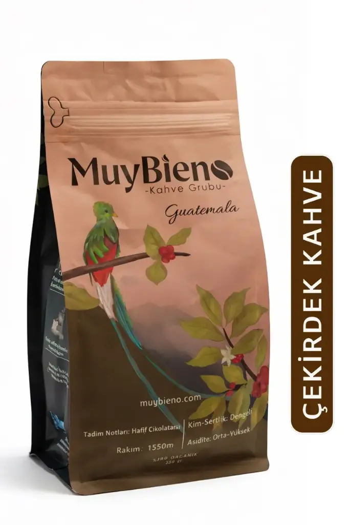 Guatemala Huehuetenango 250 gr. Çekirdek Kahve