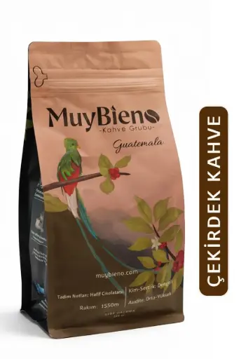 Guatemala Huehuetenango 250 gr. Çekirdek Kahve